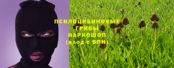 синтетический гашиш Бронницы